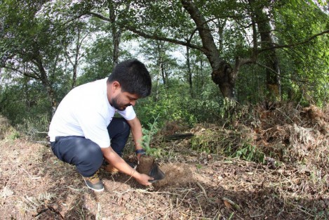 Dependencias federales  y sus equipos, así como de ayuntamientos y población en general, participaron en la Jornada Estatal de Reforestación que se llevó a cabo este domingo como parte de las actividades de la Semana del Medio Ambiente 2023.