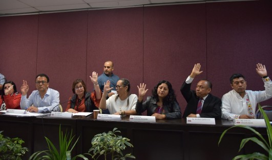 El Congreso del Estado de Veracruz, con la presencia del Comité de Seguimiento, realizó la Sistematización de los Resultados Obtenidos en el proceso de Consulta Previa, Libre, Informada y Culturalmente Adecuada a los Pueblos y Comunidades Afromexicanas del estado, respecto de la reforma al párrafo séptimo del Artículo 5 de la Constitución Política del estado.