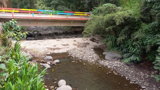Pese a las lluvias que se han presentado en la región, así luce el río Consolapan entre Xalapa y Coatepec, en estos días.