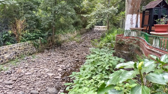 Pese a las lluvias que se han presentado en la región, así luce el río Consolapan entre Xalapa y Coatepec, en estos días.