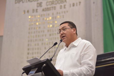 El diputado del Partido del Trabajo (PT), Ramón Díaz Ávila, presentó al Pleno del Congreso una iniciativa que reforma diversas disposiciones del Código Electoral del estado de Veracruz, con la que se abre la posibilidad para que los partidos políticos puedan participar en procesos electorales mediante coaliciones, (establecidas ya en la Ley General de Partidos Políticos) y bajo la nueva modalidad de Candidaturas Comunes, especificando, en cada caso, los requisitos que deben cumplirse para que sean válidas.


