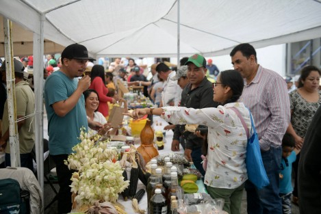 El Gobernador Cuitláhuac García visitó el Tianguis Agroecológico y Artesanal en el INECOL para hacer un recorrido, con Delegado Federal en Veracruz, por la exposición de cosechas y productos de valor agregado de todas las unidades de producción del programa Sembrando Vida.