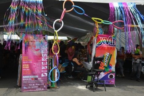 En el parque Juàrez de la ciudad de Xalapa se realiza hoy y mañana la segunda expo Diver Sex  con diferentes manualidades, artesanías, ropa, repostería y más.