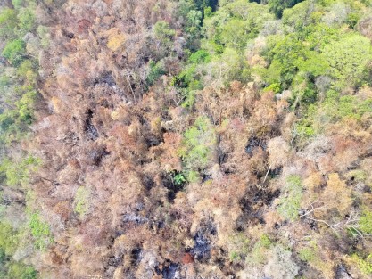 Desde hace tres semanas se registró un incendio forestal y este ha consumido 74 hectáreas en la localidad Ejido la Gloria, Uxpanapa, municipio ubicado al sur del estado de Veracruz. 