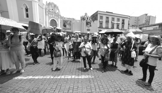 Cafeticultores y familiares se manifestaron frente al Palacio de Gobierno,  para exigir al gobernador del estado Cuitláhuac García su intervención ante el Poder Judicial del Estado de Veracruz, y pongan en libertad a Minervo N, Abraham N, Crisanto N Cirio y Viridiana N, recluidos en el penal La Toma en el municipio de Amatlán de Los Reyes.

