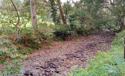 Aunado a esta situación, los ríos de los alrededores, como el Sedeño, que además de contaminado, actualmente está seco. Sólo se observan algunas pozas de agua.