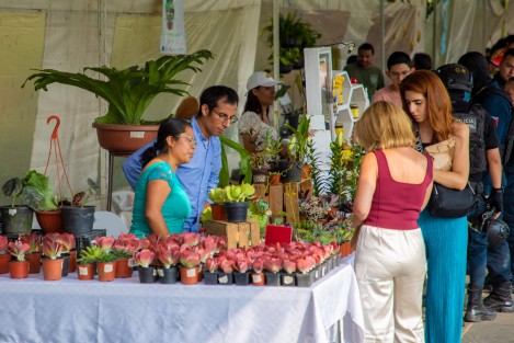  Para fortalecer la economía regional a través de la venta directa de productos del campo, durante este fin de semana continúa la Expo Flor y Miel Xalapa 2023 en el Paseo de Los Lagos, donde se podrán adquirir los mejores productos que ofrecen más de 60 floricultores y apicultores veracruzanos.