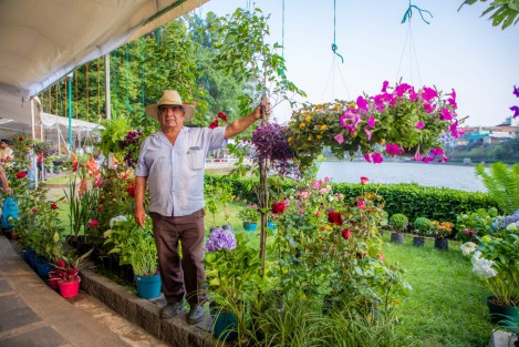  Para fortalecer la economía regional a través de la venta directa de productos del campo, durante este fin de semana continúa la Expo Flor y Miel Xalapa 2023 en el Paseo de Los Lagos, donde se podrán adquirir los mejores productos que ofrecen más de 60 floricultores y apicultores veracruzanos.