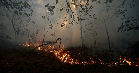 En la comunidad de El Rincón de La Joya luchan para evitar que sus mangueras de agua se quemen luego de que el fuego se reavivara y siguiera quemando pastizales y bosque de esta comunidad situada a 2 kilómetros de la carretera Xalapa-Perote. 