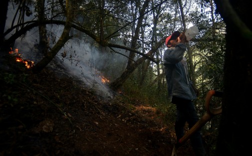 En la comunidad de El Rincón de La Joya luchan para evitar que sus mangueras de agua se quemen luego de que el fuego se reavivara y siguiera quemando pastizales y bosque de esta comunidad situada a 2 kilómetros de la carretera Xalapa-Perote. 