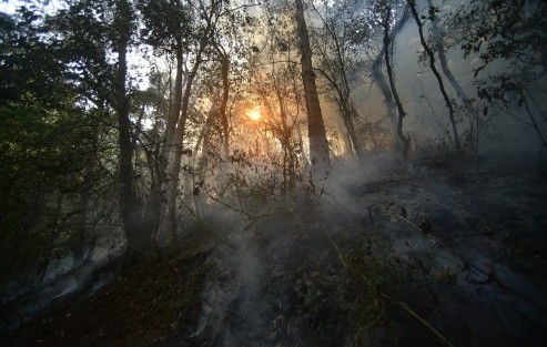 En la comunidad de El Rincón de La Joya luchan para evitar que sus mangueras de agua se quemen luego de que el fuego se reavivara y siguiera quemando pastizales y bosque de esta comunidad situada a 2 kilómetros de la carretera Xalapa-Perote. 