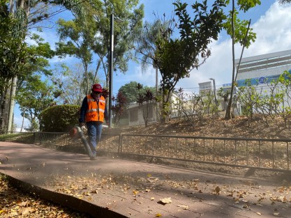 
Xalapa, Ver.- Para brindar atención y mantenimiento a las áreas verdes municipales en coordinación con la ciudadanía y fomentar la educación ambiental, el Ayuntamiento, a través de la Dirección de Medio Ambiente, realizó una Jornada Comunitaria en las colonias Fuentes de Las Ánimas, 3 de Mayo, Casa Blanca y Centro.