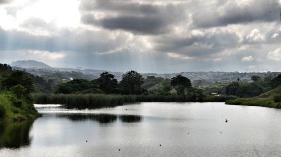 Gracias al trabajo de vecinos y apoyo de autoridades, la laguna dela congregación El Castillo, municipio de Xalapa, se ha convertido en un atractivo ecoturístico donde se realizan varias actividades.
