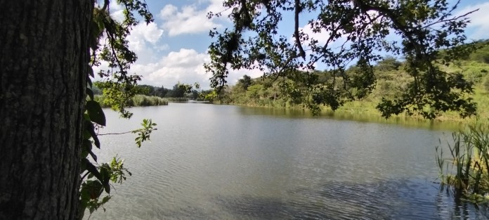 Debido a la disminución del suministro de agua de las fuentes que surten a la ciudad de Xalapa, hasta la Laguna de El Castillo llegan diariamente un mayor número de pipas a cargar, lo que ha generado entre los vecinos el temor de que la misma sea sobre explotada. 