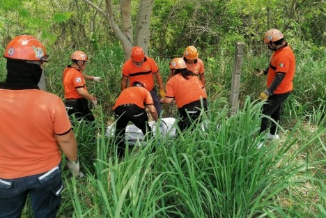 Un tráiler presuntamente se quedó sin frenos y chocó contra una camioneta en la autopista Xalapa-Veracruz, sacándola del camino a la altura de Plan del Río, dejando dos muertos y otra persona herida. El tráiler continuó hasta detenerse a la altura de la caseta.