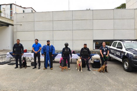 Para responder a las necesidades de protección, tenencia responsable y rescate de animales en situaciones de riesgo, maltrato, abandono, descuido, comercialización ilegal, exhibición o explotación, el Ayuntamiento cuenta con una Brigada de Vigilancia Animal. 