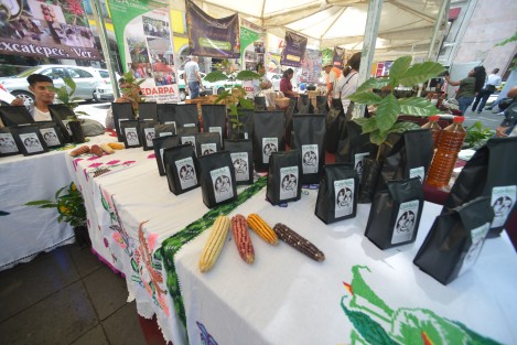 Listos los stands del Primer Festival del Café, el cual se realizará este fin de semana en varios comercios y el centro de la ciudad de Xalapa.

