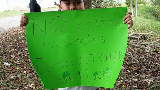 Vecinos de la primera sección de Lomas Verdes, se manifiestan por la tala de árboles del área verde que está paralelo al circuito Loma Alta en el fraccionamiento Lomas Verdes.