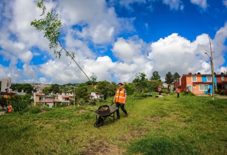 Con el fin de brindar mantenimiento y conservar y rescatar los espacios públicos del municipio, este sábado personal de la Dirección de Medio Ambiente, con apoyo de vecinas y vecinos, realizó una Jornada comunitaria en diversas áreas verdes de las colonia El Sumidero, Homex-Santa Fe y el fraccionamiento Las Fuentes.