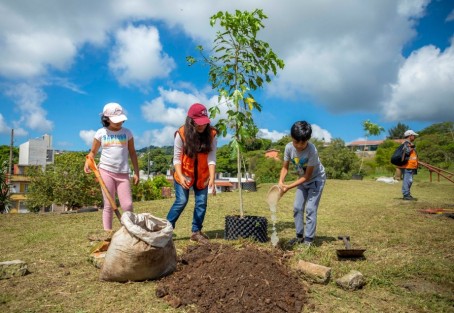 Adicionalmente, para conservar y ampliar el patrimonio natural de Xalapa, se reanudó el programa de Arborización y Reforestación 2023 en la calle Loma del Gallo, fraccionamiento Lomas Verdes.