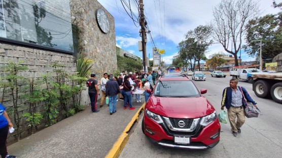 Un grupo de personas realizaron una colecta de firmas y la clausura simbólica de obras que se llevan a cabo en Lázaro Cárdenas, para defender el arbolado urbano.