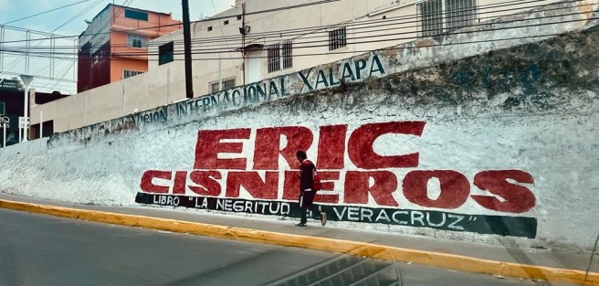 El mandatario estatal señaló que en bardas, espectaculares, y demás propaganda de su libro, se omitirá su imagen y/o nombre. 