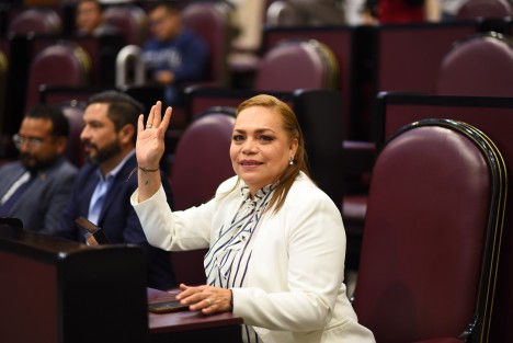 La diputada Verónica Pulido Herrera presentó al Pleno de la LXVI Legislatura una iniciativa con proyecto de decreto que reforma diversas disposiciones del Código Penal y de la Ley de Acceso de las Mujeres a una Vida Libre de Violencia, ambos del estado de Veracruz, para que las órdenes de protección sean dictadas oportunamente por la autoridad y con ello salvaguardar la integridad de las mujeres.

