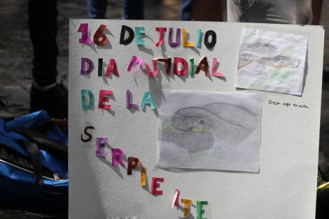 Un grupo de jóvenes también promocionaron sus serpientes en el centro de Xalapa. 