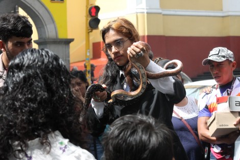 Un grupo de jóvenes también promocionaron sus serpientes en el centro de Xalapa. 