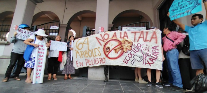 Un grupo de personas que se oponen al retiro de árboles en la avenida Lázaro Cárdenas de Xalapa, por construcción de un puente para agilizar el tráfico en la salida hacia Veracruz se manifestaron este lunes. Argumentan que hay más soluciones que resolverán el problema de tráfico en la zona.

