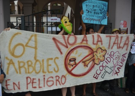 Un grupo de personas que se oponen al retiro de árboles en la avenida Lázaro Cárdenas de Xalapa, por construcción de un puente para agilizar el tráfico en la salida hacia Veracruz se manifestaron este lunes. Argumentan que hay más soluciones que resolverán el problema de tráfico en la zona.
