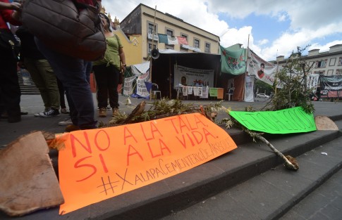 Inconformes con retiro de árboles continuaron manifestándose en Plaza Lerdo.