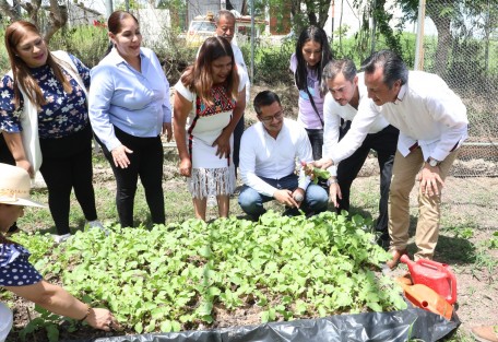 Este vivero es uno de los 14 proyectos financiados por la Secretaría de Medio Ambiente, enfocados en la reproducción de especies nativas que fomenten el aprovechamiento de residuos orgánicos. A través de estos ahora hay una mayor producción y disponibilidad de plantas para esta temporada de lluvias, según informó su titular, Juan Carlos Contreras Bautista.