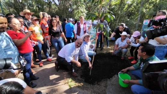 El gobernador Cuitláhuac García Jiménez encabezó la Jornada de compensación ambiental en el Parque Natura, donde plantaron alrededor de  800 arbolitos. Asistieron el alcalde Ricardo Ahued, así como los titulares de SEGOB, SEDEMA, SEDESOL, SEFIPLAN, STPSP y trabajadores de gobierno.
