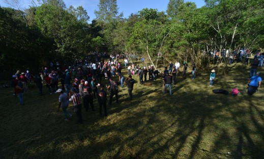 El gobernador Cuitláhuac García Jiménez encabezó la Jornada de compensación ambiental en el Parque Natura, donde plantaron alrededor de  800 arbolitos. Asistieron el alcalde Ricardo Ahued, así como los titulares de SEGOB, SEDEMA, SEDESOL, SEFIPLAN, STPSP y trabajadores de gobierno.
