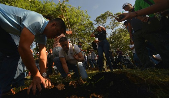 El gobernador Cuitláhuac García Jiménez encabezó la Jornada de compensación ambiental en el Parque Natura, donde plantaron alrededor de  800 arbolitos. Asistieron el alcalde Ricardo Ahued, así como los titulares de SEGOB, SEDEMA, SEDESOL, SEFIPLAN, STPSP y trabajadores de gobierno.
