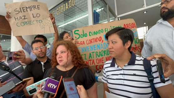 Inconformes por retiros de árboles en camellones reclaman que las autoridades no les consultaron para hacerlo. 