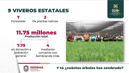 El gobernador, Cuitláhuac García Jiménez y el secretario de Medio Ambiente, Juan Carlos Contreras Bautista informaron las acciones implementadas en la materia, destacando la producción de 11.75 millones de plantas en los nueve viveros estatales, de ellos 7.75 fueron donados a la sociedad y cuatro a Sembrando Vida.