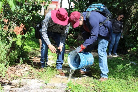 Con una estrategia que involucra a ciudadanos, autoridades y organizaciones, el gobernador Cuitláhuac García Jiménez encabezó hoy el primer Tequio contra el dengue, acción que fue replicada en los 212 municipios como una iniciativa destinada a prevenir las enfermedades por vectores.