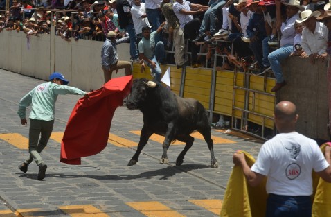 Este sábado se realizó la tradicional capea de toros en el Pueblo Mágico de Xico, como parte de las fiestas patronales en honor a Santa María Magdalena. Miles asistieron al evento, uno de los más esperados por los visitantes y pobladores de la región.

