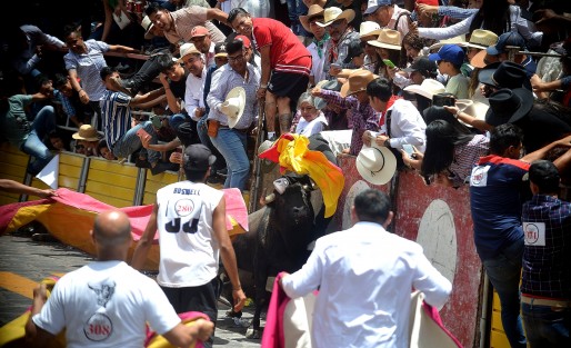 Este sábado se realizó la tradicional capea de toros en el Pueblo Mágico de Xico, como parte de las fiestas patronales en honor a Santa María Magdalena. Miles asistieron al evento, uno de los más esperados por los visitantes y pobladores de la región.

