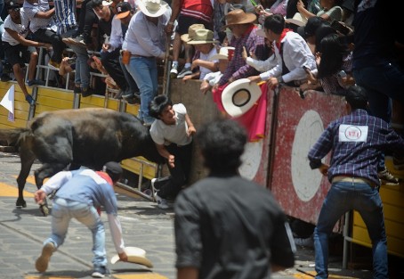 Este sábado se realizó la tradicional capea de toros en el Pueblo Mágico de Xico, como parte de las fiestas patronales en honor a Santa María Magdalena. Miles asistieron al evento, uno de los más esperados por los visitantes y pobladores de la región.
