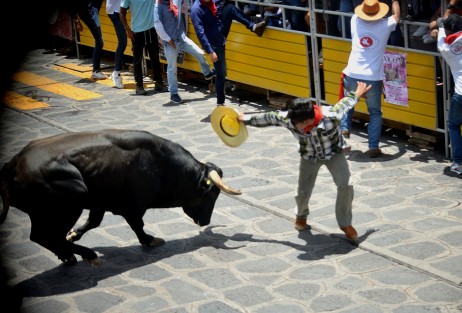 Este sábado se realizó la tradicional capea de toros en el Pueblo Mágico de Xico, como parte de las fiestas patronales en honor a Santa María Magdalena. Miles asistieron al evento, uno de los más esperados por los visitantes y pobladores de la región.
