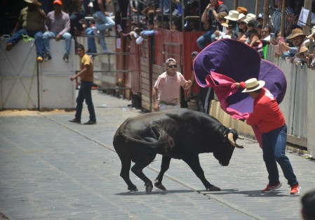 Este sábado se realizó la tradicional capea de toros en el Pueblo Mágico de Xico, como parte de las fiestas patronales en honor a Santa María Magdalena. Miles asistieron al evento, uno de los más esperados por los visitantes y pobladores de la región.
