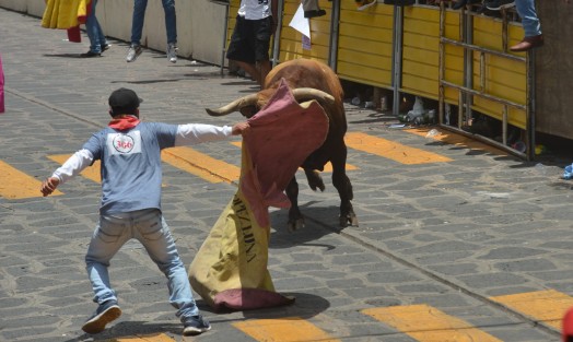 Este sábado se realizó la tradicional capea de toros en el Pueblo Mágico de Xico, como parte de las fiestas patronales en honor a Santa María Magdalena. Miles asistieron al evento, uno de los más esperados por los visitantes y pobladores de la región.
