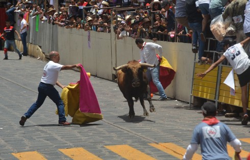 Este sábado se realizó la tradicional capea de toros en el Pueblo Mágico de Xico, como parte de las fiestas patronales en honor a Santa María Magdalena. Miles asistieron al evento, uno de los más esperados por los visitantes y pobladores de la región.
