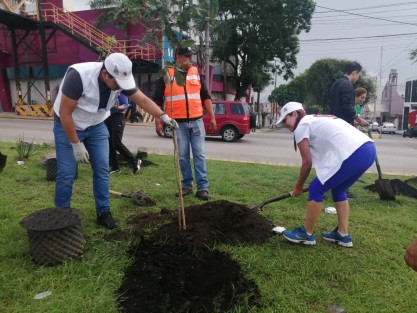 Xalapeños dieron cuenta a través de redes sociales de su participación en la Jornada de Reforestación convocada por el Ayuntamiento de Xalapa este domingo, en varios puntos a lo largo de la Av. Lázaro Cárdenas.