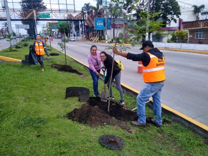 Xalapeños dieron cuenta a través de redes sociales de su participación en la Jornada de Reforestación convocada por el Ayuntamiento de Xalapa este domingo, en varios puntos a lo largo de la Av. Lázaro Cárdenas.