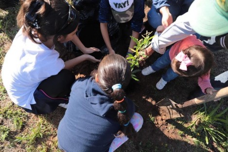 Este sábado  con el equipo de SEGOB, personal del ayuntamiento de Coatepec y varias familias de ambos municipios se llevó a cabo la  jornada de reforestación con 300 árboles cerca del libramiento Xalapa-Coatepec. 