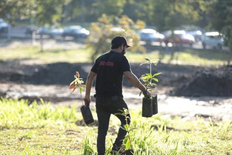 Este sábado  con el equipo de SEGOB, personal del ayuntamiento de Coatepec y varias familias de ambos municipios se llevó a cabo la  jornada de reforestación con 300 árboles cerca del libramiento Xalapa-Coatepec. 